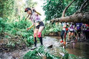 BIB: 
                            <button type="button" onclick="openModal(25516996)" class="btn btn-primary btn-sm float-right btn-popup" data-toggle="modal" data-target=".modal-high-quality">
                        <i class="fas fa-shopping-cart"></i> Add to Cart
                    </button>
                                            <button type="button" onclick="isThisMe(25516996, true)" class="btn btn-success btn-sm float-right btn-popup btn-isme hidden" data-toggle="tooltip" data-placement="bottom" title="นี่คือรูปของคุณใช่ไหม คลิกที่นี่เพื่อเอาเข้าอัลบั้ม">
                        <i class="fas fa-plus"></i> Add to album
                    </button>
                    <button type="button" onclick="isThisMe(25516996, false)" class="btn btn-warning btn-sm float-right btn-popup btn-isnotme hidden">
                        <i class="fas fa-ban"></i> Remove from album
                    </button>